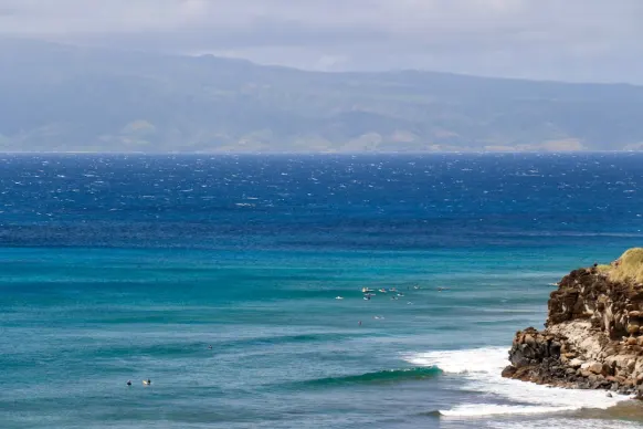 Kasyno Two Fat Ladies Bingo Wsparcie